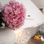 Lena * Pula